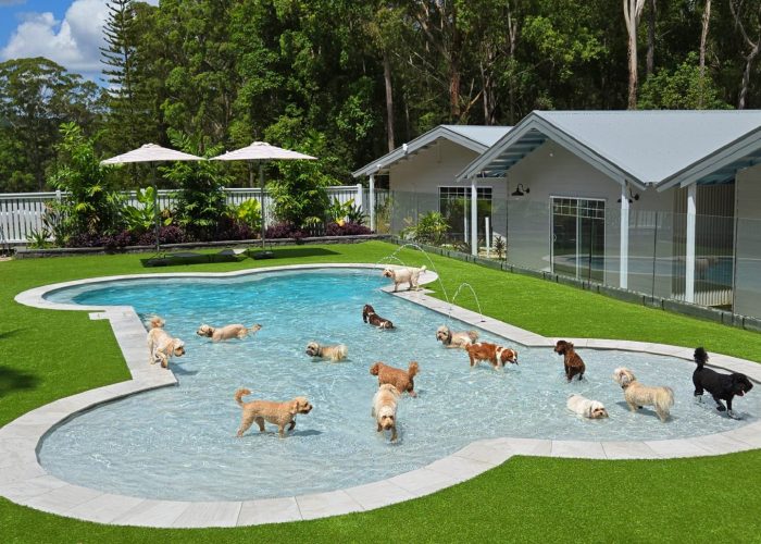 Home Page - Pool 1.1